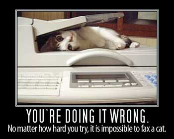 fax cat